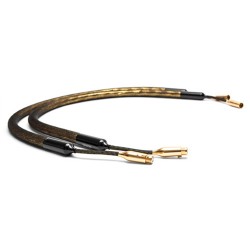 Dây tín hiệu Zensati Analog Interconnects sILENzIO XLR (1.5m)