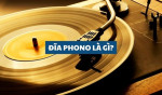 Cấu tạo và công dụng của đĩa phono – Kiến thức cần biết cho người chơi audio hi-end