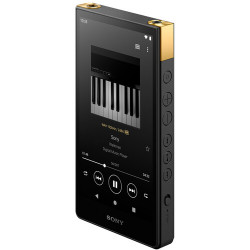 Máy nghe nhạc Sony Walkman NW-ZX707