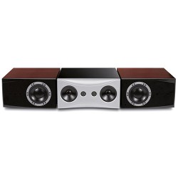 Loa Dynaudio Evidence Center