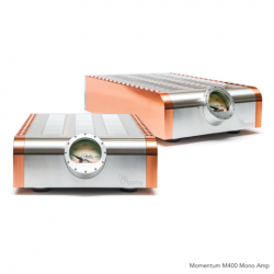 Dan D'Agostino Momentum M400 Monoblock Power Amplifier