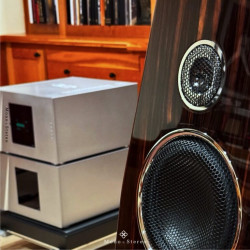 Loa Floorstand Tidal Contriva Piano Veneer Embedded In Transparent (G3)