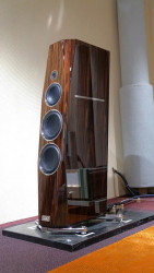 Loa Floorstand Tidal Contriva Piano Veneer Embedded In Transparent (G3)