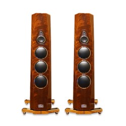 Loa Tidal Akira Veneers Embedded In Transparent Piano Lacquer