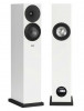 Loa Floorstand Amphion Argon3LX 2