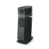 Loa Floorstand Focal Scala Evo M 20