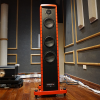 Loa Gauder Akustik Floorstand Darc 100 5